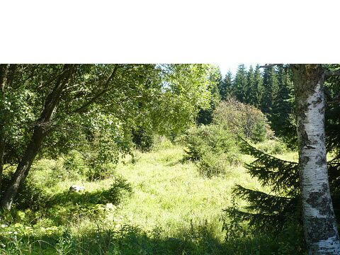 Foto 31